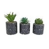 Decoration Modern Ceramic Flower Succulent Pots With Special Design