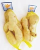 /product-detail/suppliers-supply-new-crops-organic-fresh-ginger-62332836279.html