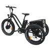 electric tricycle for cargo and passenger cargo tricycle electric,philippines electric tricycle,the electric tricycle