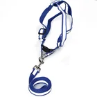 Wholesale Reflective Dog Leash Bone Printing Pet Training Collar Dog Leash Rope