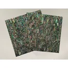 Shell Shellshell HCX032 King Abalone Dot Star Point Paint Abalone Shell Paper