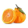 Fresh Navel Oranges Price From China /Hybrid Tangerine
