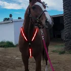 Horse Outdoor Horse Equestrian Products LED Light Strip Horse Chest Belt Harness