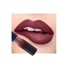 Custom Lipstick Lip Stick Tubes Natural Matte Waterproof Lipstick
