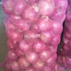high quality fresh red onion