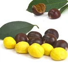 Hot selling natural sweet new crop big grains nice color tianjing chestnut