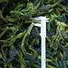 /product-detail/frozen-iqf-cut-spinach-leaves-for-sale-62358489667.html