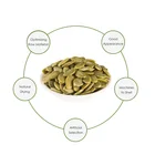 2020 New Crop Dried Peeling Pumpkin Seed Kernels Grade AA from Inner Mongolia