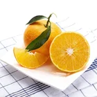 Fresh Honey Sweet Mandarin Orange /Japanese cross orange