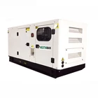 Quick Delivery Stamford alternator generator diesel 30 KW portable generator