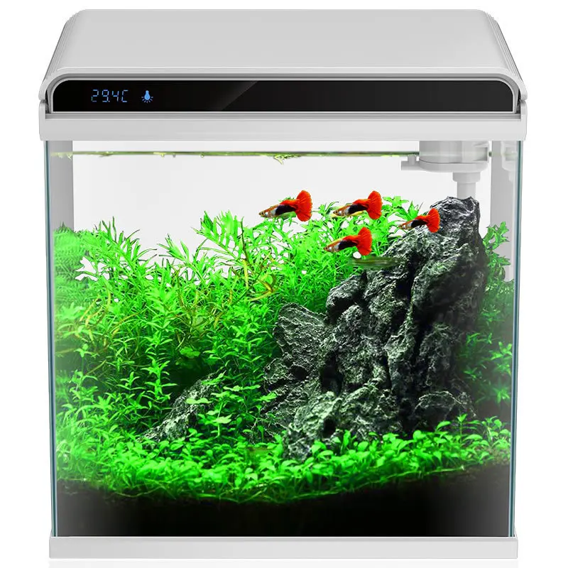 HE-300 aquarium tank 1.jpg