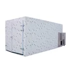 Automatic 1600-1800 kg capacity mango pear apricot drying machine