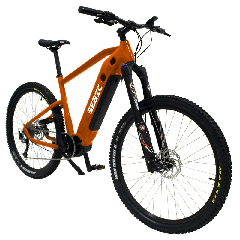 mtb e bike 2019