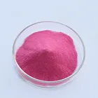 Vacuum Packed Natural Juice Powder Powder 100% Natural Pitaya Fruit Juice Powder