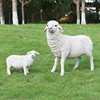 /product-detail/china-manufacturer-realistic-life-size-resin-sheep-life-size-lamb-garden-ornament-resin-sheep-figurines--62285068910.html