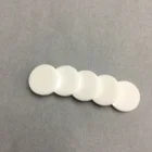 High Polishing Zirconia Chip ZrO2 Ceramic Wafer