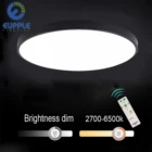 3year warranty indoor acrylic Find Complete Details led ceiling light with remote control
