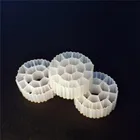 Biological Filter Media for RAS system