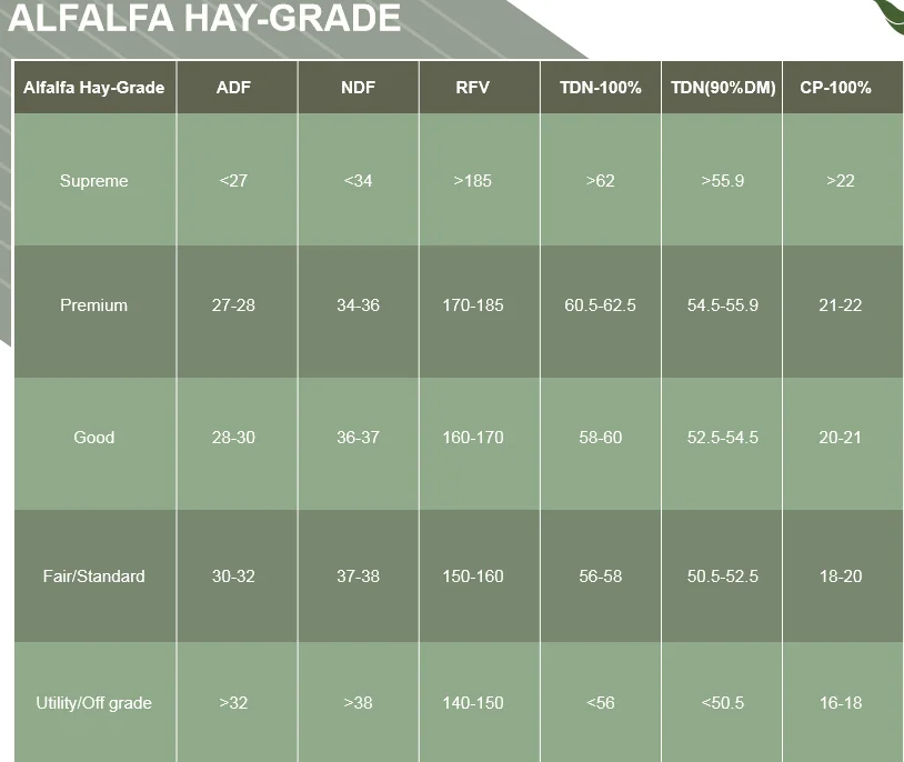 Animal Feeding Timothy or alfalfa hay in bales for sale for wholesale