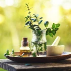 Herbal Extract Food Grade Peppermint Oil for Sale