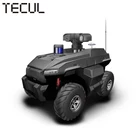 TECUL AMY-Outdoor temperature inspection security smart humanoid robot