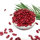 Wholesale Dried Dark Red Kidney Bean for Canned Food