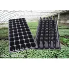 black plastic 50 cell hole plant nursery tray seed propagation tray