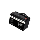 2020 New Product free OEM ODM lifepo4 ion lithium battery 12v 100ah solar system