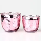 Jars Glass Plant Pot Custom Design Fancy Colored Electroplated Pink Plant Flower Glass Pots Candle Jars