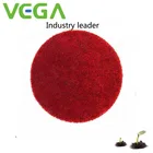 VEGA Hot Selling China Vitamin B12 Cyanocobalamin powder Food Supplement