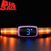 Cheap Price Patent Design Usb Rechargeable Beeper Dog Bark Control Collar