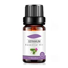 Pure Natural High Quality Geranium Essential Oil with Private Label Custom Services