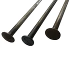 Stainless Steel Bolt Export Fastener A307 Round Head Bolt with Nibs Carbon Steel Plain Timber Bolts for Wood Industry