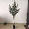 Artificial Olive Leaves Plants Small Olive Tree for Home Decoration