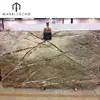The most popular interior marble wall and floor Rainforest green marble