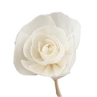 Flower Cheap Price Wholesale Different Shape Sola Wood Flower For Reed Diffuser