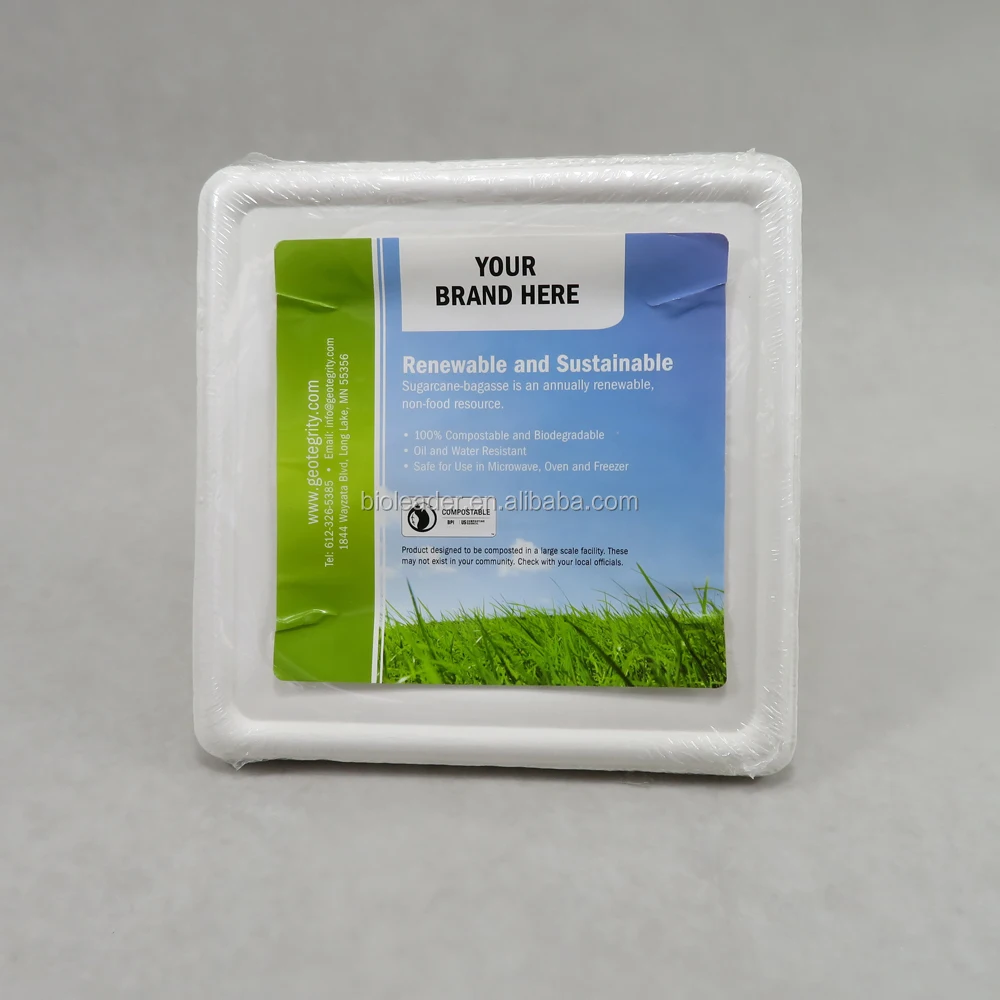 Factory Directly White Square Bagasse Take Away Biodegradable Plates