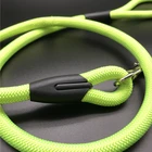 Dog Sale 2020 Latest Product High Durability Fashionable In Stock B003 Cute Nylon Rope Dog Leash Strap For Sale