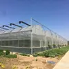 /product-detail/hot-sale-factory-price-commercial-plastic-film-tunnel-greenhouse-60723804603.html