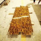 240X140X2 Yellow Tiger Eye Granite