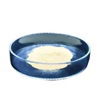 Pea peptide/ pea protein peptide / water soluble peptide powder