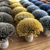 Solution Dyed Polyester Carpet Yarn For Weaving Carpet Or Tufted Carpet