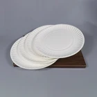 Disposable compostable paper Plates dishes pla Dinnerware