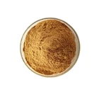 High Quality Wild Jujube seed Extract Saponins 2% Semen Ziziphi spinosae Extract Spina Date Seed Extract