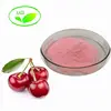 /product-detail/super-fruit-berry-powder-health-food-additive-acerola-cherry-powder-62408688470.html