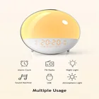 Radio Bedroom Night Light Wake Up Light Sunrise Simulation Light Therapy Dual Alarm Clock FM Radio SMART Model