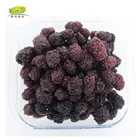 IQF Blackberry Frozen Fruit Pulp