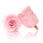 factory supply wholesale A grade 5-6cm preserved eternal roses head