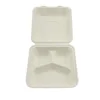 /product-detail/biodegradable-hot-sale-rectangular-paper-pulp-clamshell-burger-box-62376794771.html
