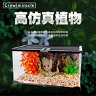 Factory fake plants plastic artificial plants for REPTILE-HOUSE decoration